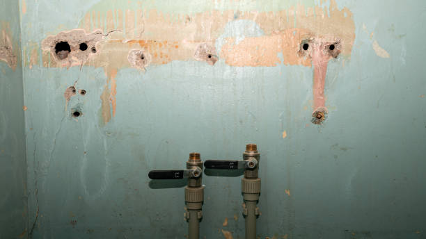 Best Water damage restoration mold remediation  in Verdigris, OK
