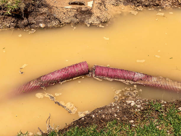 Best Local water damage restoration  in Verdigris, OK